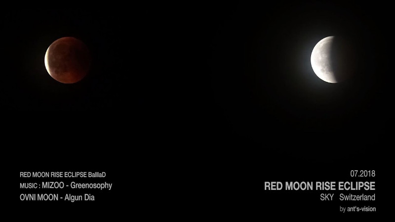 Ants-Vision-Vignette-Red-Moon-Eclipse